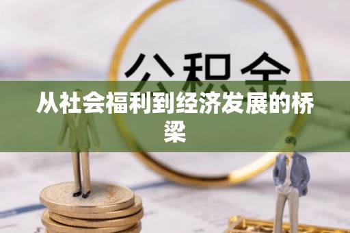 云岩从社会福利到经济发展的桥梁