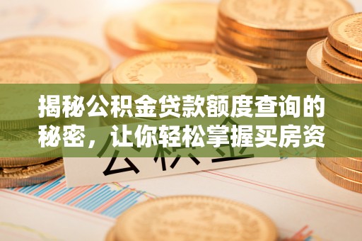 云岩揭秘公积金贷款额度查询的秘密，让你轻松掌握买房资金规划